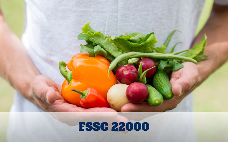Who should comply with the FSSC 22000 standard