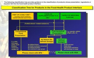Singapore Market Entry Strategy